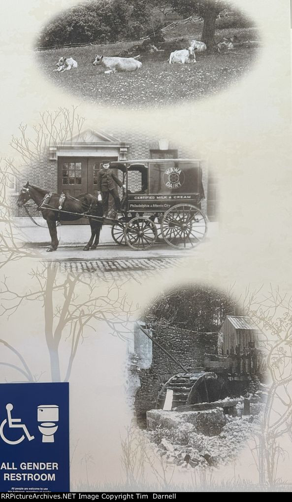 Wawa dairy history photos